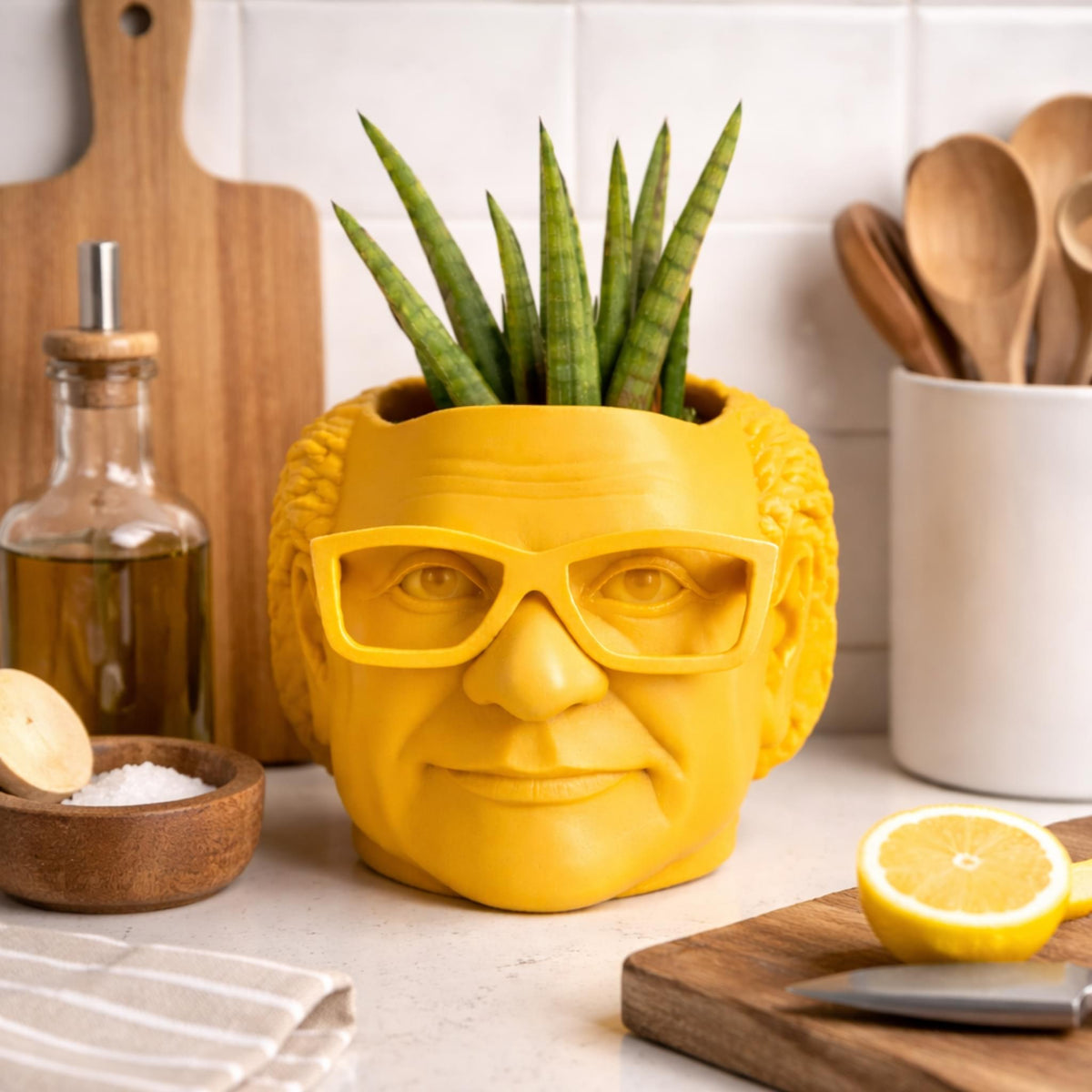 Pot de fleurs Danny DeVito
